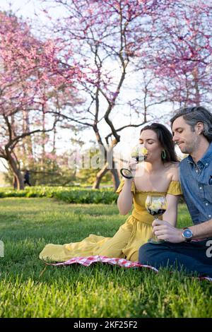 Ein Paar auf einer karierten Picknickdecke im Forest Park mit einer Flasche Wein und roten Knospenbäumen dahinter. Stockfoto