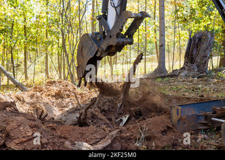 Vorbereitung Land in Traktor arbeiten mit während der Entwaldung Landschaftsbau Arbeiten Entfernung Wurzeln für Baustelle Stockfoto