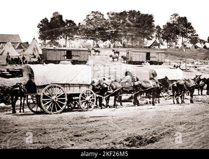 1800S 1860S EIN GEPÄCKZUG UND SECHS MAULTIERWAGEN IN EINEM UNION FEDERAL CAMP AMERIKANISCHER BÜRGERKRIEG - H8892 SPL001 HARS UNION UND AUFREGUNG NIEDRIGEN WINKEL ZELTE UNIFORMEN MAULTIERE 1860S WAGEN EISENBAHNEN ZUSAMMENARBEIT BEDECKTE WAGEN SÄUGETIER MAULTIER LÖSUNGEN AMERICAN CIVIL KRIEGSGEPÄCK KÄMPFT SCHWARZ-WEISS BÜRGERKRIEGKONFLIKTE FEDERAL OLD FASHIONED Stockfoto