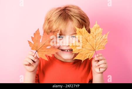 Lächelnder kleiner Junge, der mit Ahornblättern spielt. Frohe Kindheit. Herbstzeit. Stockfoto