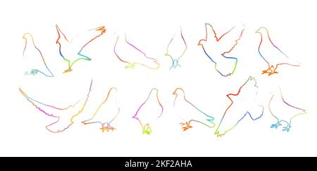 Legt die farbige Pinsellinie der Objekte für Tauben fest. Vektordarstellung Stock Vektor