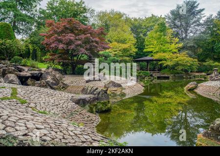 Steinbänke des Teiches und japanischer Ahorn und libanesische Zeder und Lagarostrobos franklinii Baum und Reflexionen im Wasser und dem Pavillon in der Stockfoto