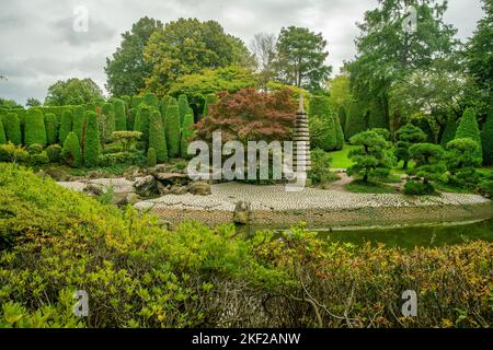 Steinbänke des Teiches und japanischer Ahorn und japanische Laterne und Lagarostrobos franklinii Baum in der Ferne - ausgezeichneter japanischer Garten in Bonn Stockfoto