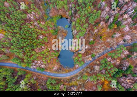 Luftaufnahmen eines Waldsees zwischen einem herbstlichen Wald und einer kurvenreichen Straße Stockfoto