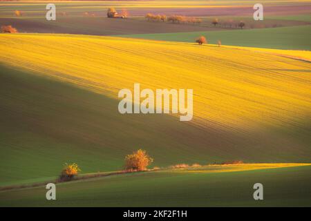 Sonnenuntergang oder Sonnenaufgang goldenes Licht über sanften Hügeln und ländlicher Landschaft Landschaft Ackerland im Bezirk Hodonin Südmähren in der Tschechischen Republik Stockfoto
