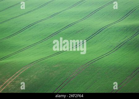 Nahaufnahme, abstraktes Detail der Traktorgleise über die hügelige Landschaft auf dem Ackerland von Südmähren in der Tschechischen Republik. Stockfoto