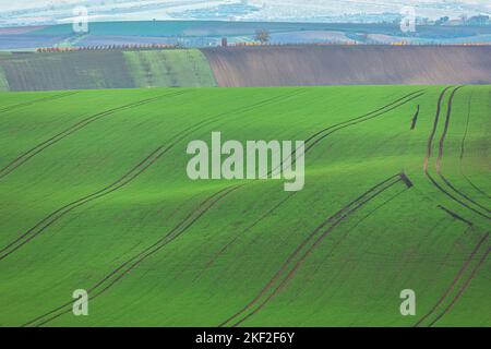 Die landwirtschaftliche Traktorenbahn führt über die hügelige Landschaft im Ackerland Südmähren in der Tschechischen Republik. Stockfoto