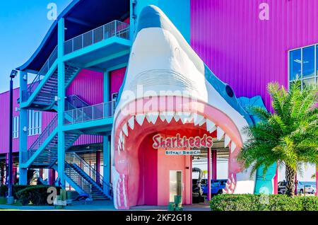 Der Souvenirladen Sharkheads verfügt über einen Haifischkopf-Eingang und ein hellrosa Gebäude am 13. November 2022 in Biloxi, Mississippi. Stockfoto