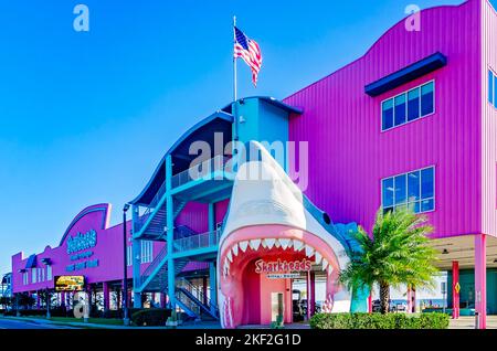 Der Souvenirladen Sharkheads verfügt über einen Haifischkopf-Eingang und ein hellrosa Gebäude am 13. November 2022 in Biloxi, Mississippi. Stockfoto