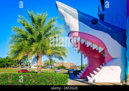 Der Souvenirladen Sharkheads verfügt über einen Haifischkopf-Eingang und ein hellrosa Gebäude am 13. November 2022 in Biloxi, Mississippi. Stockfoto