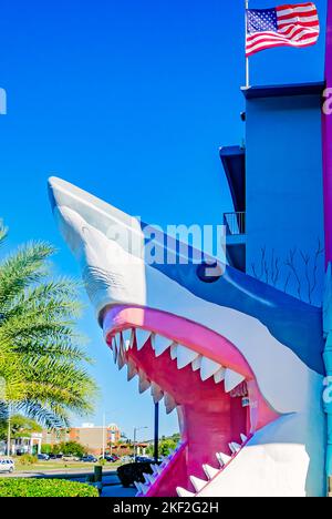 Der Souvenirladen Sharkheads verfügt über einen Haifischkopf-Eingang und ein hellrosa Gebäude am 13. November 2022 in Biloxi, Mississippi. Stockfoto