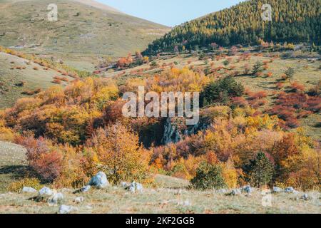 Farbenfrohes Herbstlaub im Campo Imperatore Stockfoto