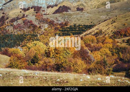 Farbenfrohes Herbstlaub im Campo Imperatore Stockfoto