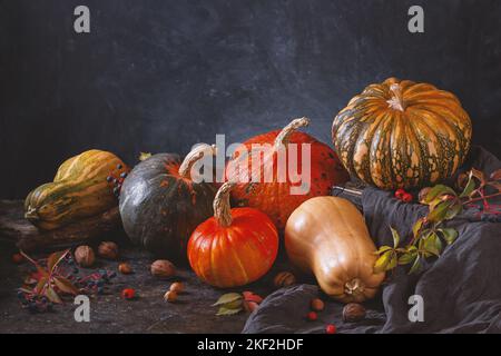 Stillleben im Herbst mit verschiedenen Kürbissen - cucurbita Früchte in verschiedenen Farben und Größen mit Nüssen und Beeren. Konzept des Thanksgiving-Tages mit sp Stockfoto