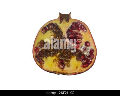 Verwöhnte Granatapfel in Scheiben. Eine halbe faule Frucht. Granatapfel auf weißem Hintergrund. Leuchtend rote Früchte. Herbstfrüchte isolieren. Seeds. Stockfoto