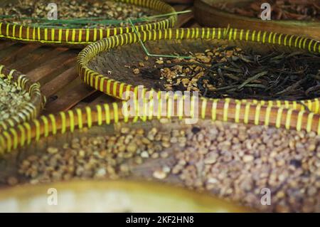 Frisch geerntete luwak-Kaffeebohnen werden in traditionellen gewebten Körben auf einer Tee- und Kaffeeplantage in der Nähe von Ubud – Bali, Indonesien, luftgetrocknet Stockfoto