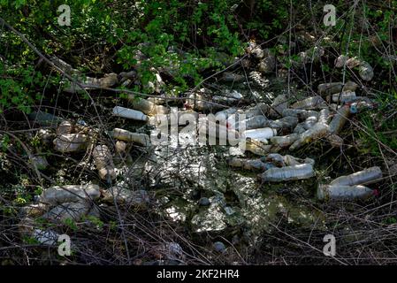 Häufen Sie eine leere Plastikflasche in die Natur geworfen. Umweltverschmutzung. Stockfoto