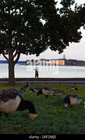 Blick auf Suomenlinna. Kaivopuisto. Stockfoto