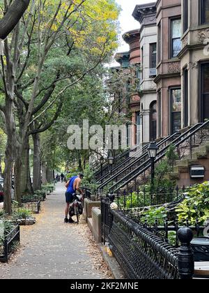 Blick auf die 12. Street in der Wohngegend Park Slope, die am Prospect Park, Brooklyn, New York, endet. Stockfoto