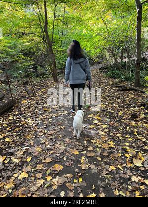 Frau geht mit ihrem Hund auf einem Pfad in einem bewaldeten Gebiet des Prospect Park, Brooklyn, New York. Stockfoto