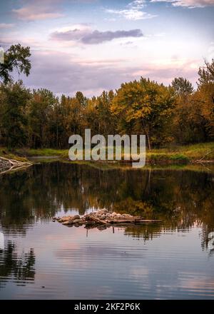 Inglewood Vogelschutzgebiet bei Sonnenuntergang Stockfoto