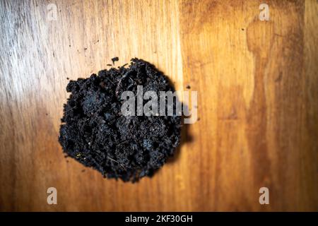Durchführung eines Bodentests in einem Heimlabor. Boden auf einem Tisch. Brauner Schmutz auf einem Feld. Erdhaufen und Kompost Stockfoto