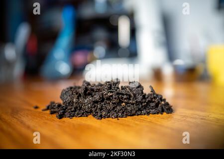 Durchführung eines Bodentests in einem Heimlabor. Boden auf einem Tisch. Brauner Schmutz auf einem Feld. Erdhaufen und Kompost Stockfoto