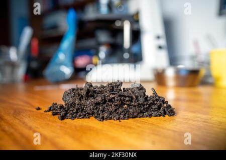 Durchführung eines Bodentests in einem Heimlabor. Boden auf einem Tisch. Brauner Schmutz auf einem Feld. Erdhaufen und Kompost Stockfoto