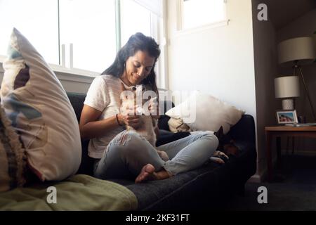 Hispanische Frau sitzt auf der Couch und lacht und spielt mit ihren Hunden. Wunderschönes Haus Stockfoto