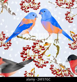 Nahtlose Textur Vögel Bluebirds und Bullfinch kleine Singbirdons auf verschneiten Baum und Beeren Winter Hintergrund vintage Vektor Illustration editierbar han Stock Vektor