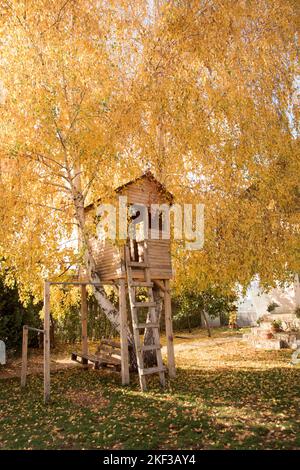 Vorgarten, Baumhaus im Herbst - umgeben von gelben Blättern Stockfoto