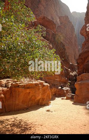 Eine Schlucht in der Wüste Wadi Rum, UNESCO-Weltkulturerbe. Bevölkert von Beduinenfamilien Stockfoto