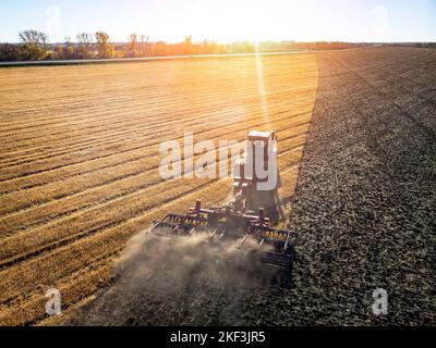Ernte von Weizen im Sommer bei Sonnenaufgang,. Ein roter Harvester, der auf dem Feld arbeitet. Blick von oben. Heuernte bei Sonnenuntergang Stockfoto