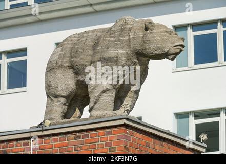 Berliner Bär, Eichenstraße, Treptow, Treptow-Köpenick, Berlin, Deutschland Stockfoto