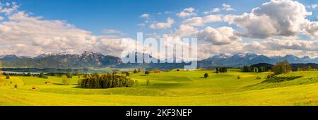 Panorama Landschaft im Allgäu mit Bergkette der Alpen Stockfoto