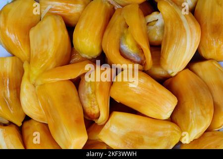 Reife Jackfrucht Fleisch mit Samen innen, Artocarpus heterophyllus, Thiruvananthapuram, Kerala, Indien Stockfoto