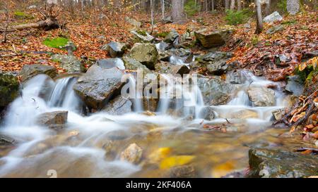 Kleine Waldbach-Kaskade. Langzeitbelichtung. Stockfoto