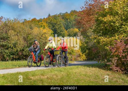 Drei glückliche Senioren fahren mit ihren Mountainbikes in der Herbstatmosphäre der Herbstwälder rund um Stuttgart, Baden Württemberg, Ge Stockfoto