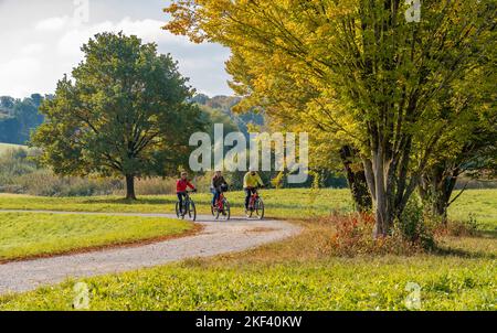 Drei glückliche Senioren fahren mit ihren Mountainbikes in der Herbstatmosphäre der Herbstwälder rund um Stuttgart, Baden Württemberg, Ge Stockfoto