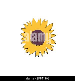 Botanical floral Illustration, Wildwiese Sonnenblume, isoliert auf weißem Hintergrund, Kartenvorlage, für Buch, Cover, Banner. Handbemalte Blumen. Vect Stock Vektor