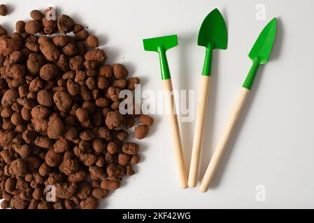 Instrumente für die Pflanzung von Blumentöpfen zu Hause. Gardering Stockfoto