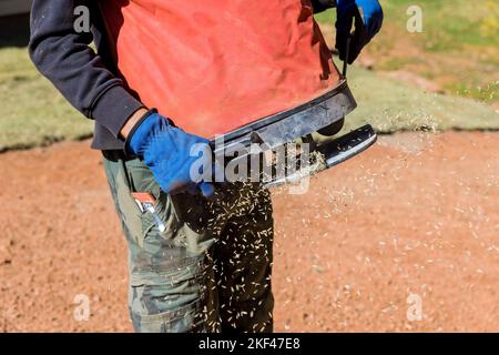 Gärtner Landschaftsgärtner arbeiten, um Rasengrassamen mit Saatvorrichtungen zu säen Stockfoto