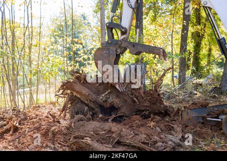 Arbeiten mit Traktor während der Entwaldung Landschaftsbau für die Vorbereitung Baustelle mit Entfernen von Wurzeln Stockfoto