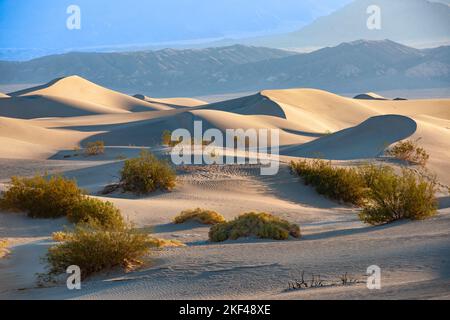 Morgenlicht an den Mesquite Sand Dunes Sanddünen, Death Valley Nationalpark, Kalifornien, USA, Nordamerika Stockfoto