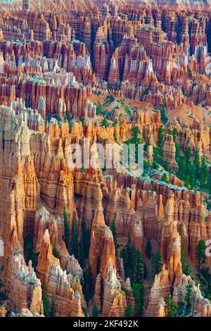 Felsformationen und Hoodoos, Bryce Canyon bei Sonnenaufgang, Bryce Point, Utah, Südwesten, USA, Nordamerika Stockfoto