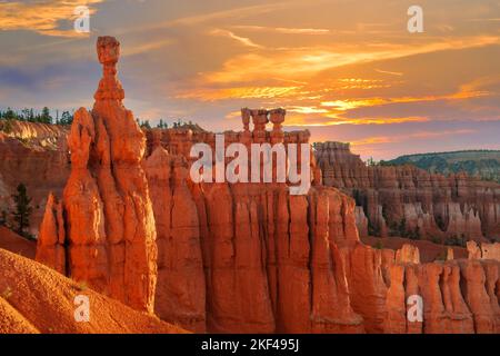 Thors Hammer am Morgen, Sunrise Point, Bryce Canyon Nationalpark, Utah, Südwesten, USA, Nordamerika Stockfoto