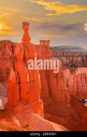 Thors Hammer am Morgen, Sunrise Point, Bryce Canyon Nationalpark, Utah, Südwesten, USA, Nordamerika Stockfoto