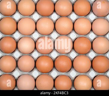 Braune Hühnereier in einer Palette, frische eier vom Markt, Stockfoto