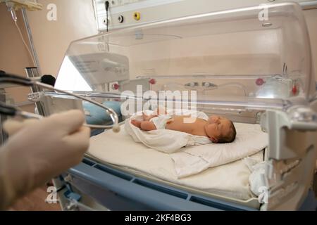 Neonatologie. Ein Neugeborenes in einem speziellen Inkubator für Babys in einem Krankenhaus. Stockfoto
