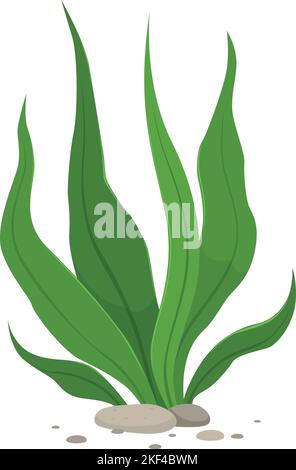 Symbol für Grünalgen. Cartoon Unterwasserpflanze wächst Stock Vektor